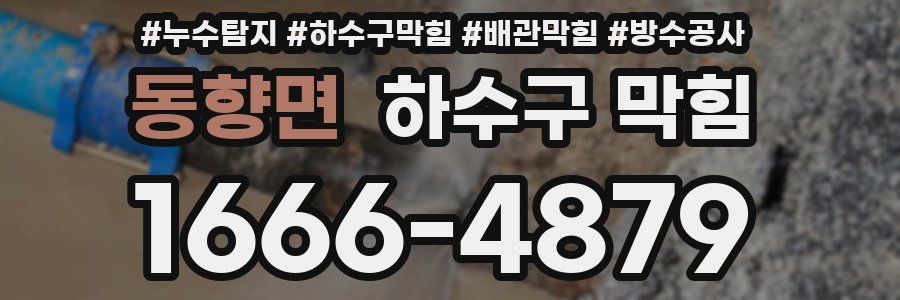 동향면 하수구 막힘