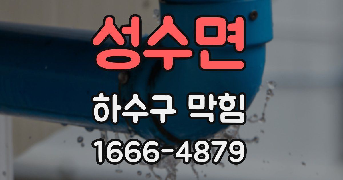 성수면 하수구 막힘