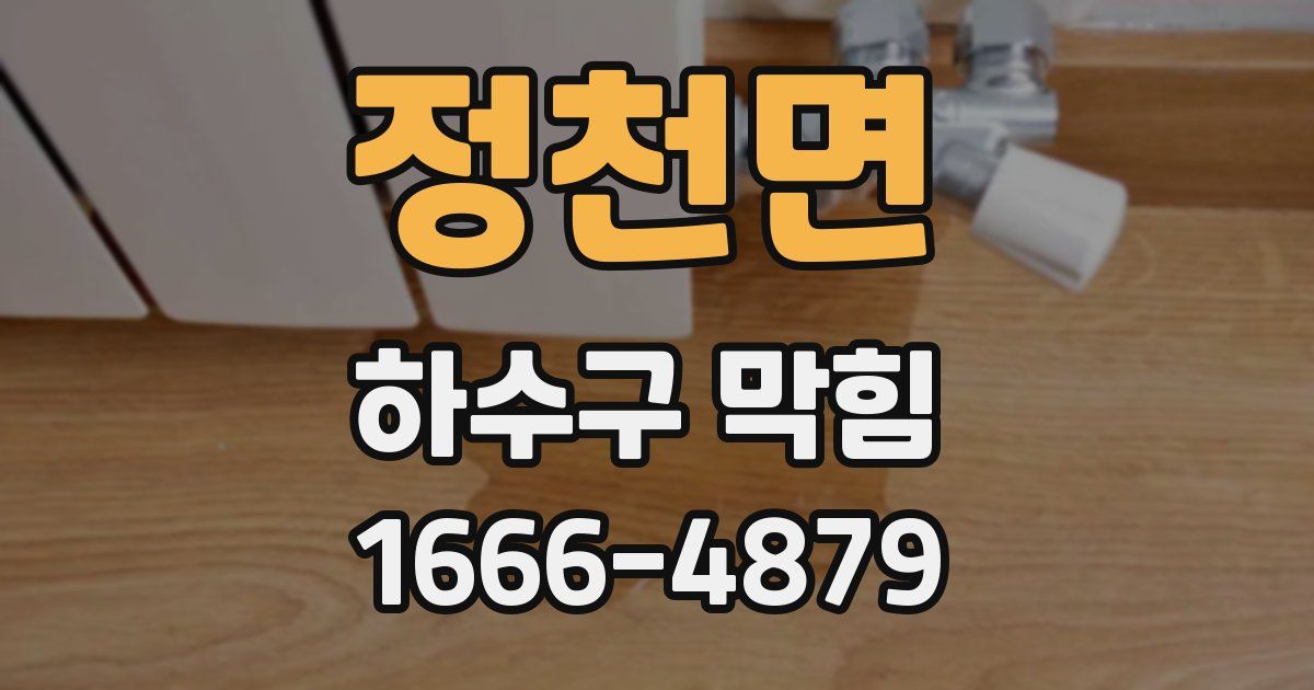 정천면 하수구 막힘