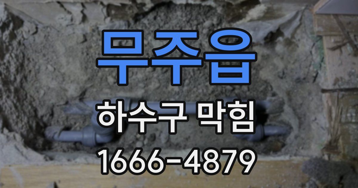 무주읍 하수구 막힘