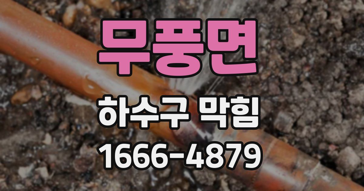 무풍면 하수구 막힘