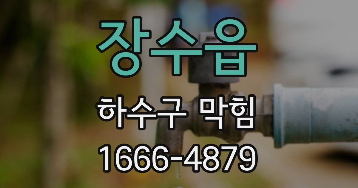장수읍 하수구 막힘