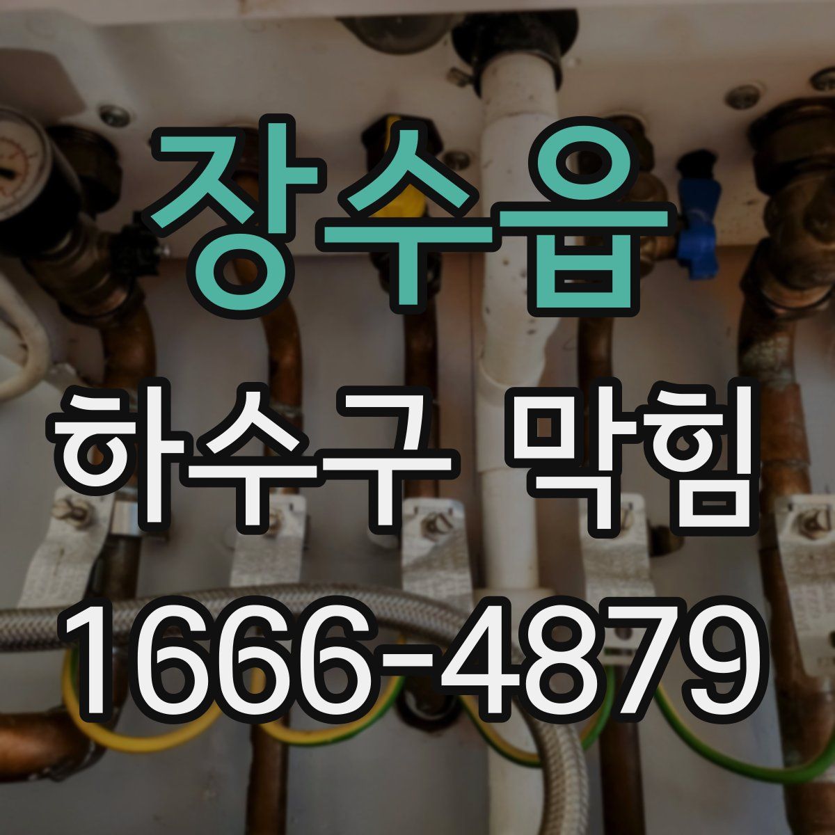 장수읍 하수구 막힘