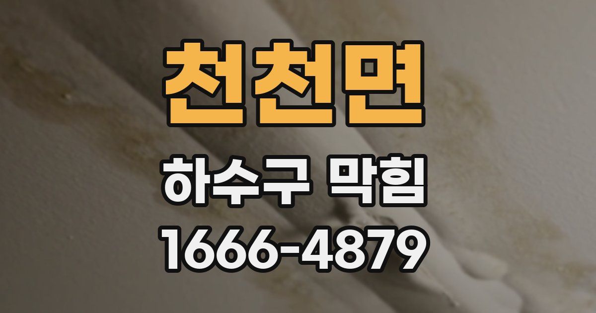 천천면 하수구 막힘