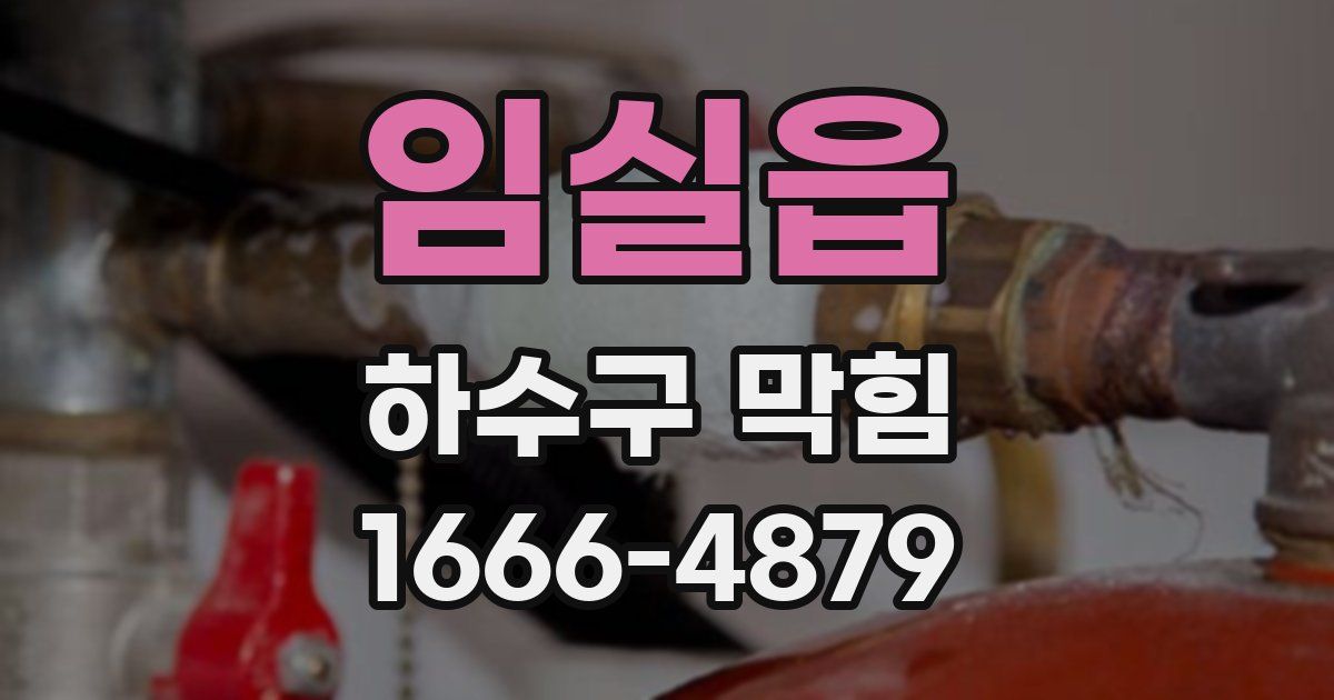 임실읍 하수구 막힘