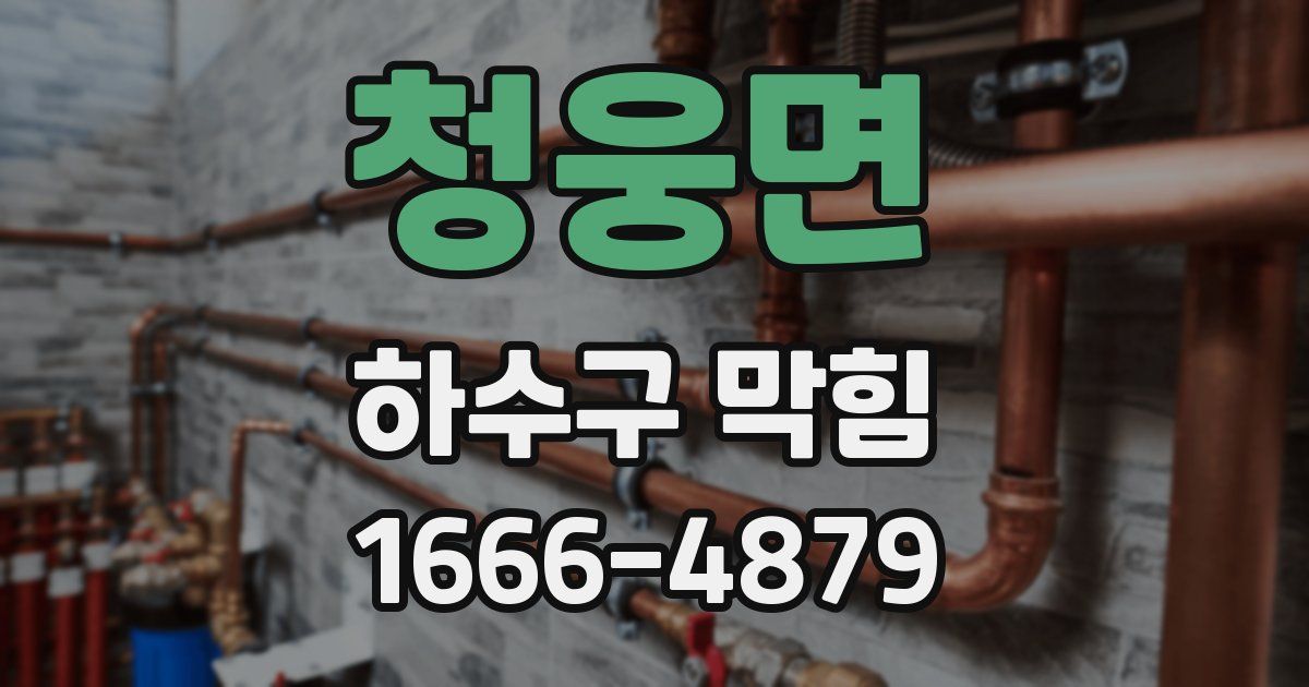 청웅면 하수구 막힘
