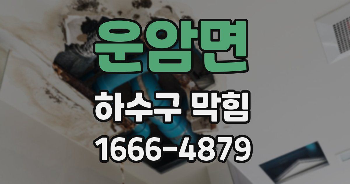 운암면 하수구 막힘