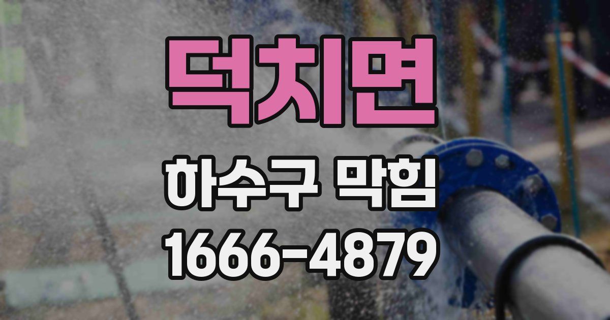 덕치면 하수구 막힘