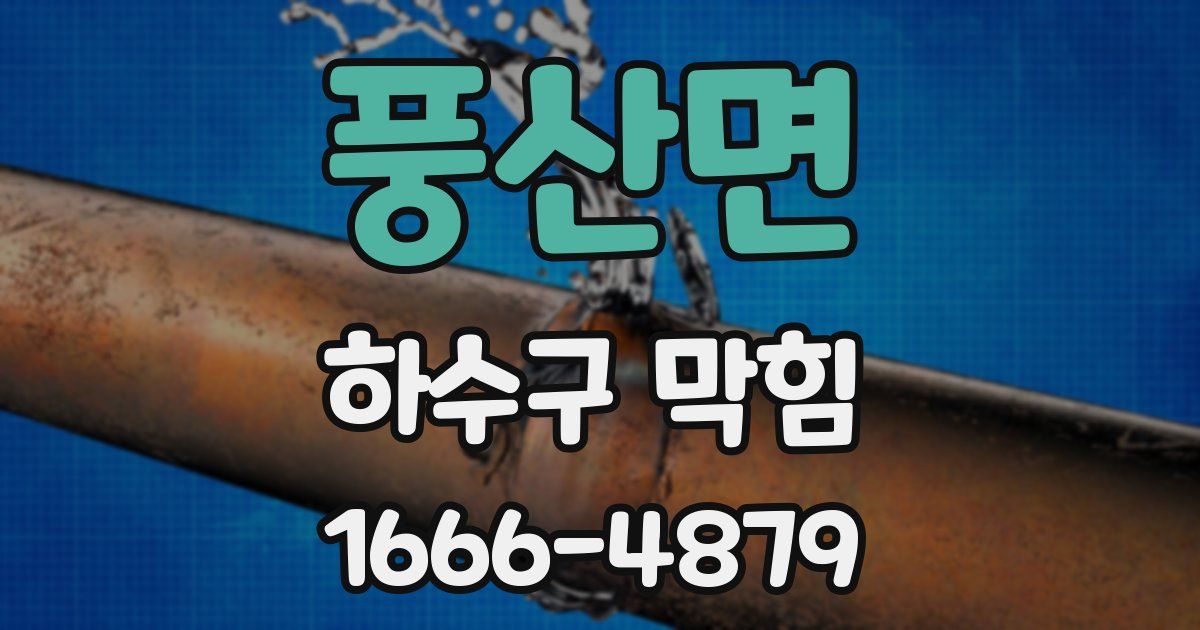풍산면 하수구 막힘