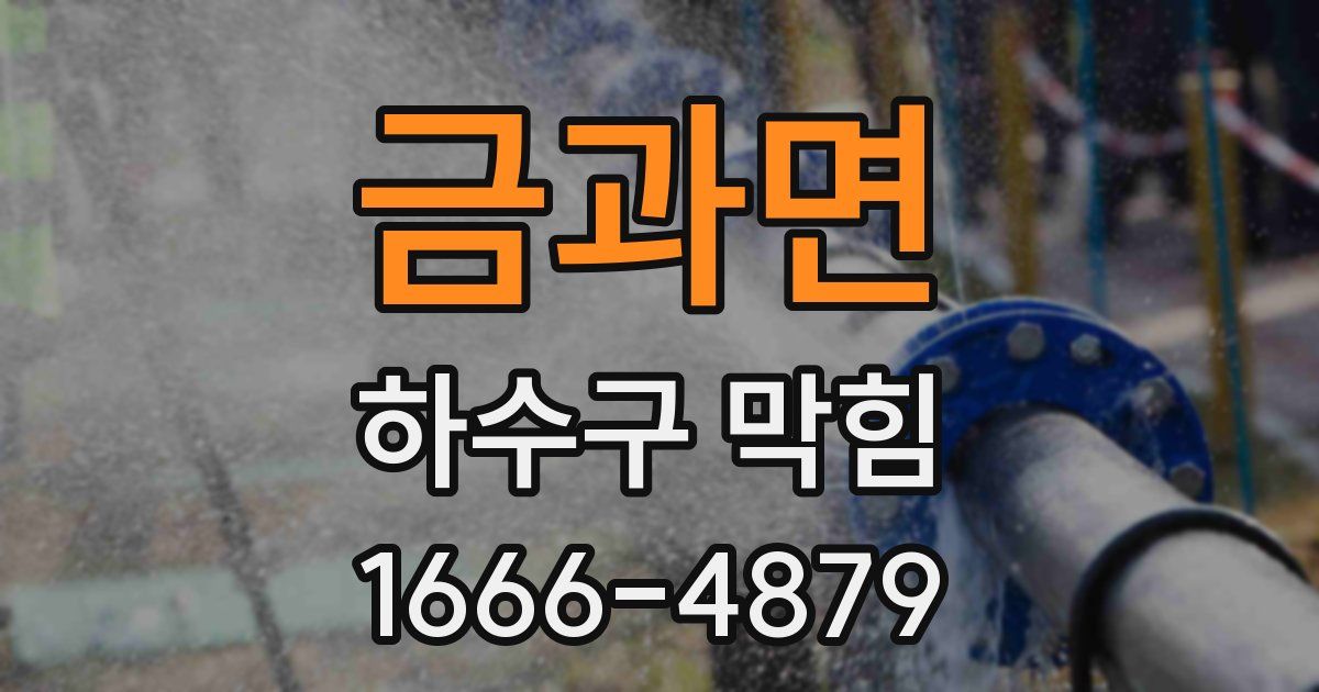 금과면 하수구 막힘