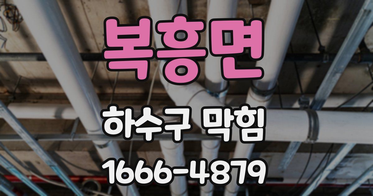 복흥면 하수구 막힘