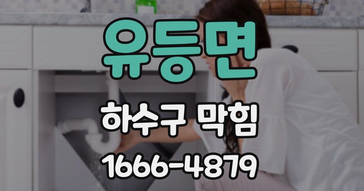 유등면 하수구 막힘