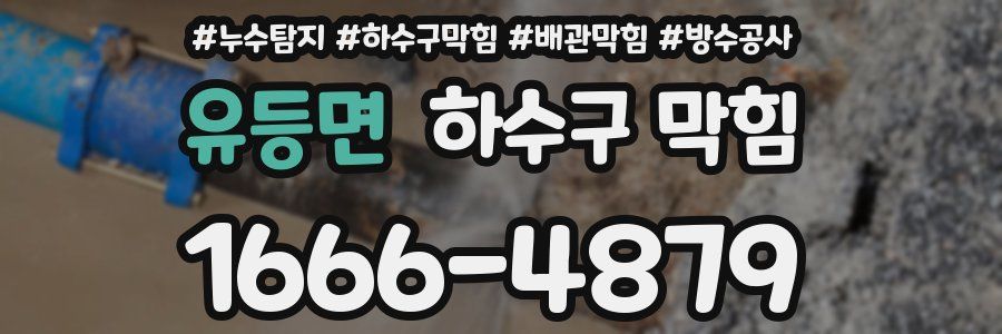 유등면 하수구 막힘