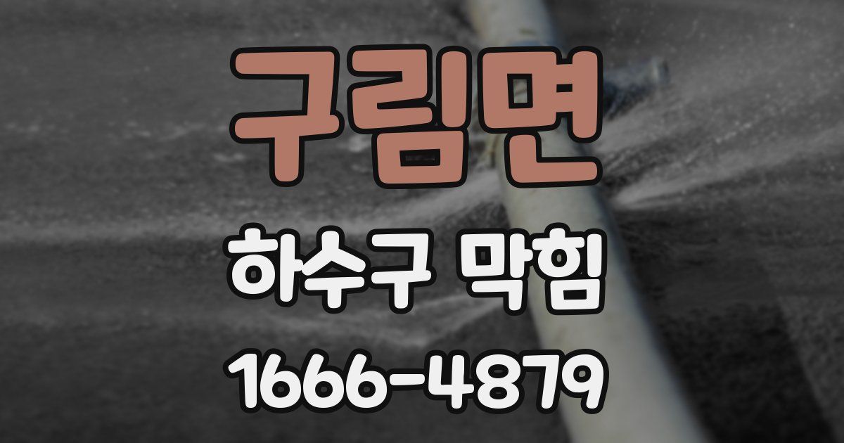 구림면 하수구 막힘