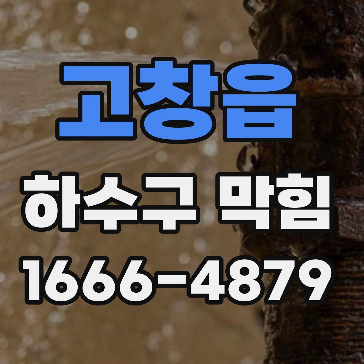 고창읍 하수구 막힘