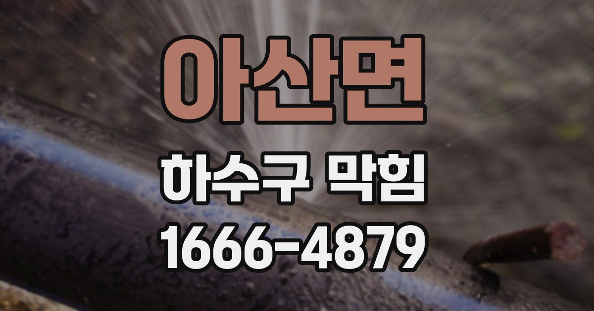 아산면 하수구 막힘