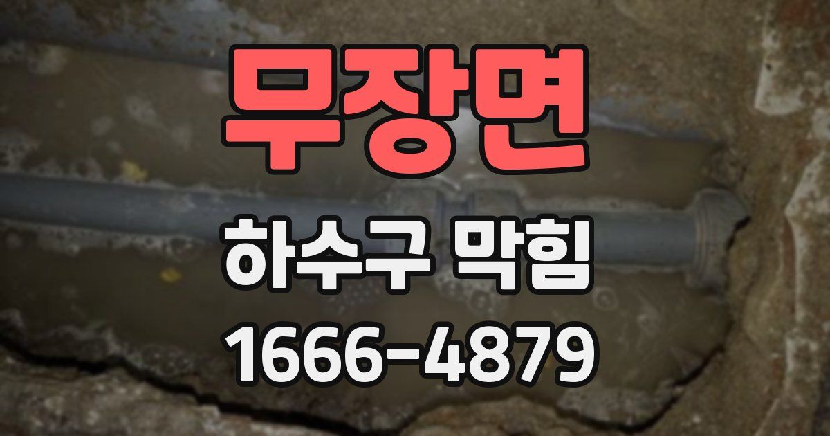 무장면 하수구 막힘