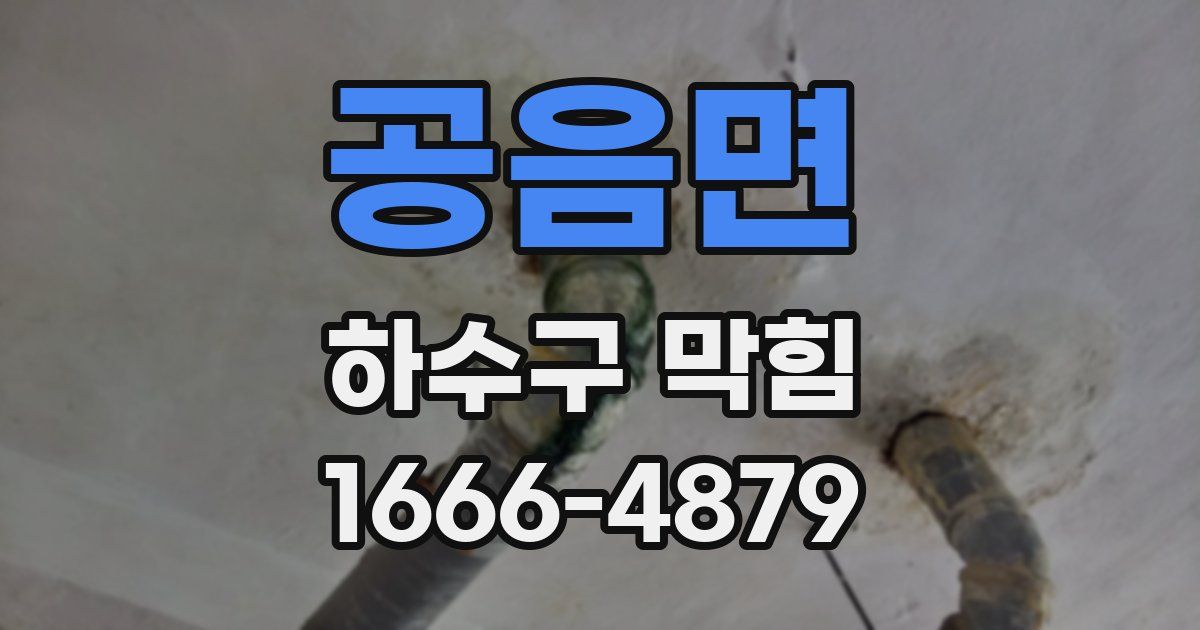 공음면 하수구 막힘