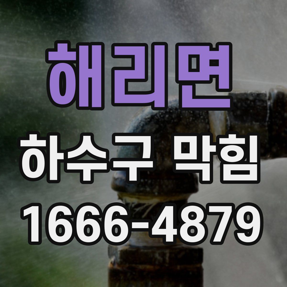 해리면 하수구 막힘