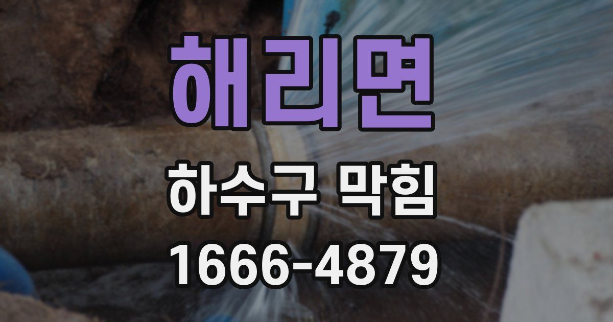 해리면 하수구 막힘