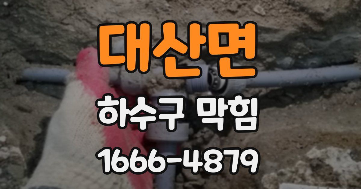대산면 하수구 막힘