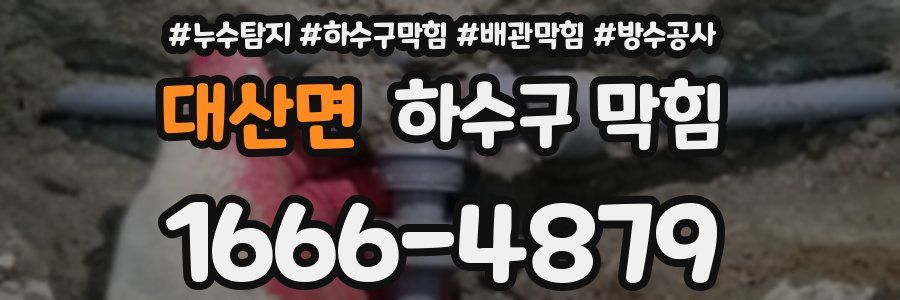 대산면 하수구 막힘