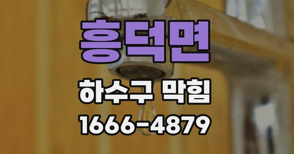 흥덕면 하수구 막힘