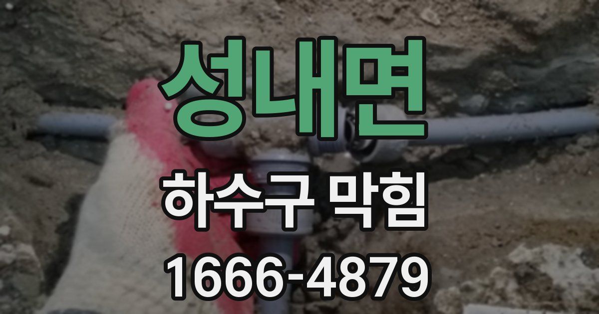 성내면 하수구 막힘