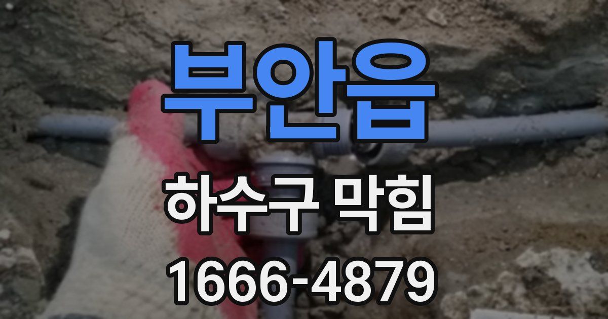 부안읍 하수구 막힘