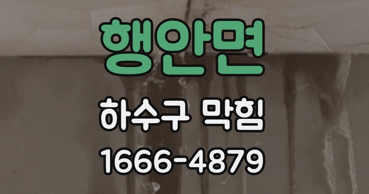 행안면 하수구 막힘