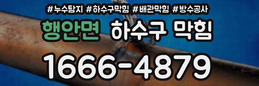 행안면 하수구 막힘