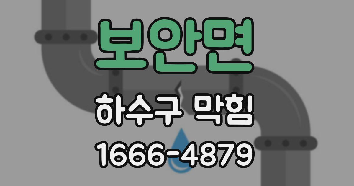 보안면 하수구 막힘