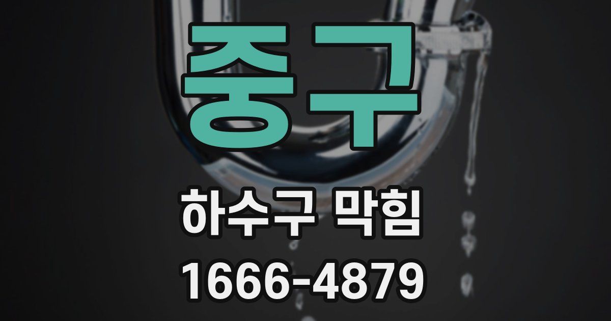 중구 하수구 막힘