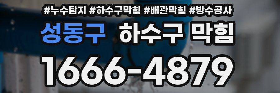 성동구 하수구 막힘
