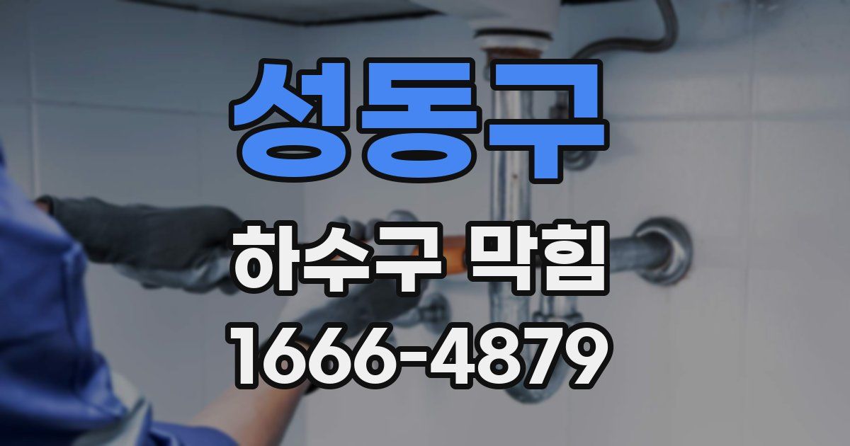 성동구 하수구 막힘