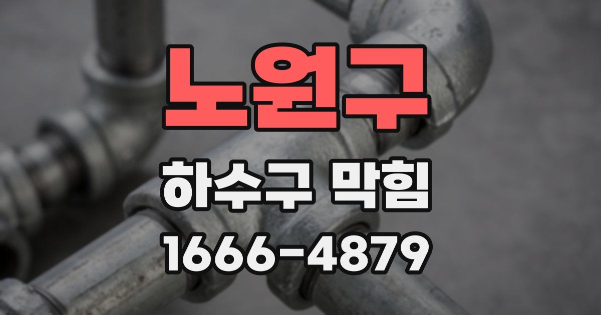노원구 하수구 막힘