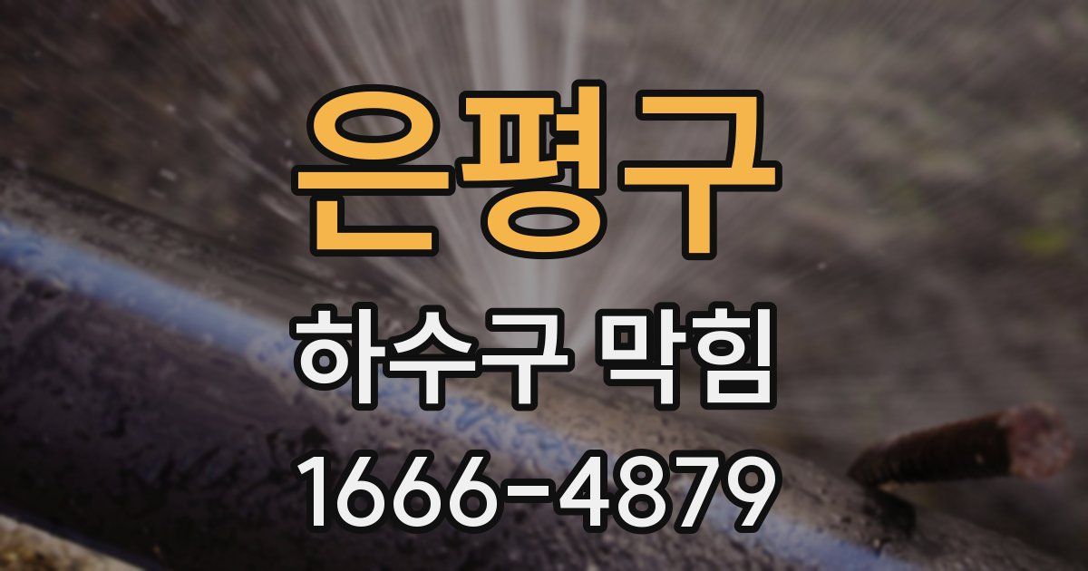은평구 하수구 막힘