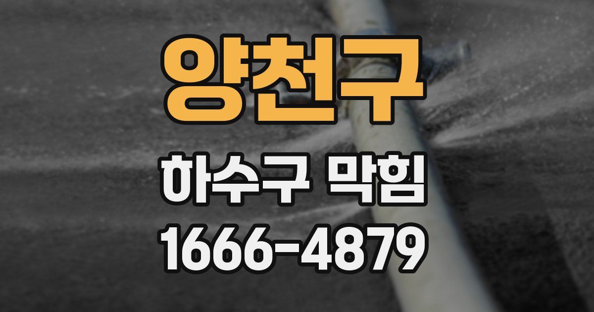 양천구 하수구 막힘