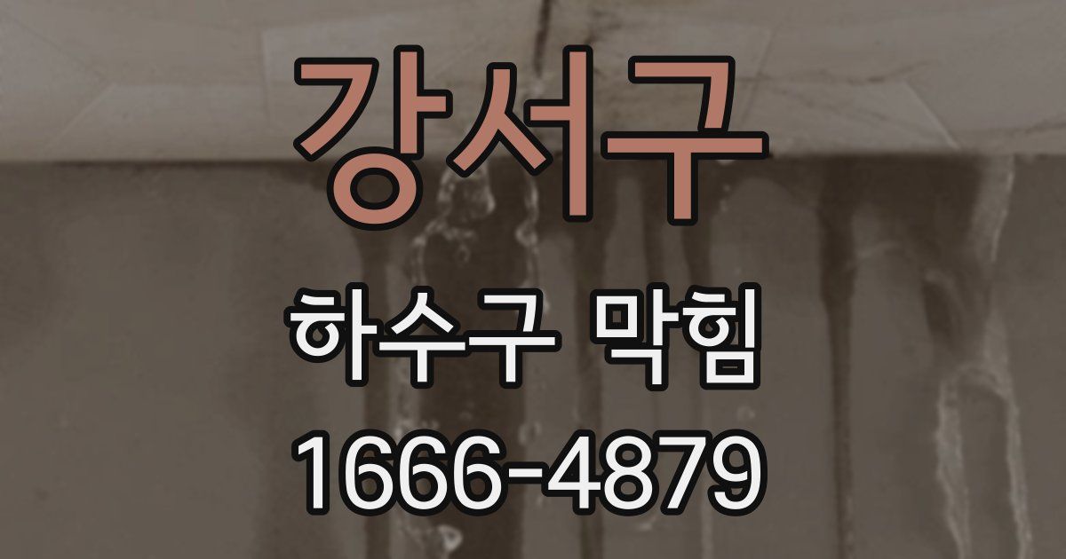 강서구 하수구 막힘