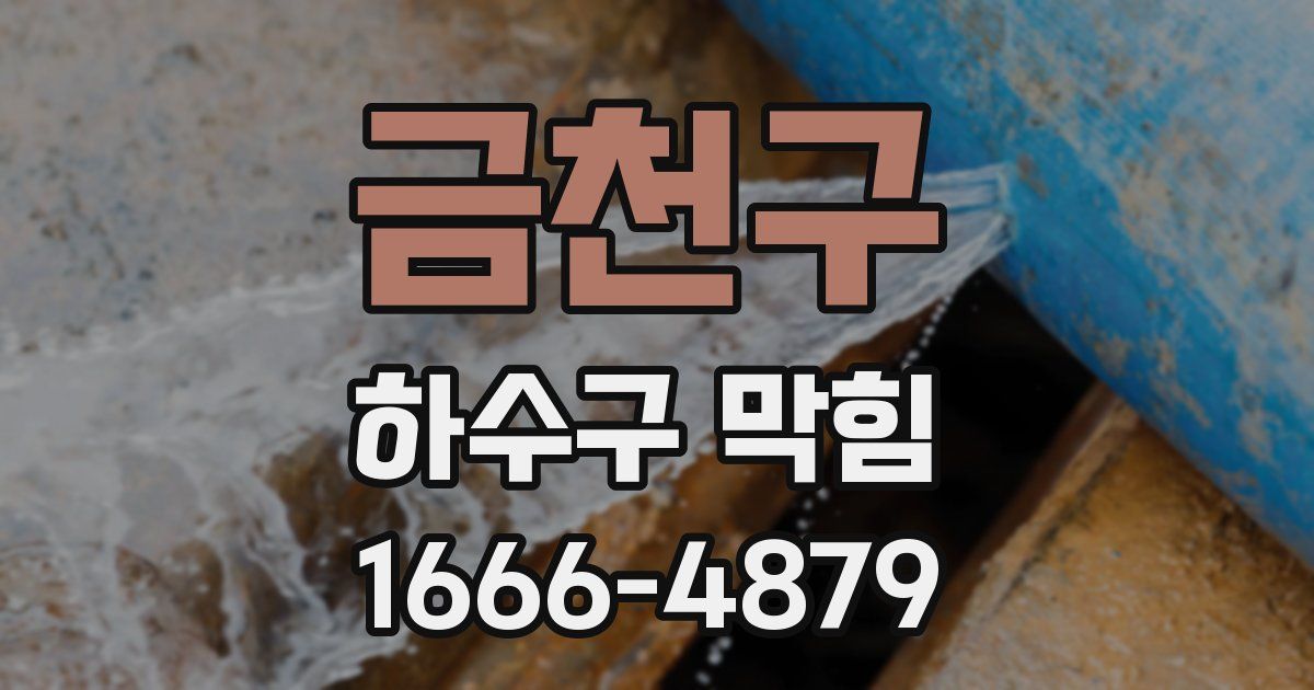 금천구 하수구 막힘
