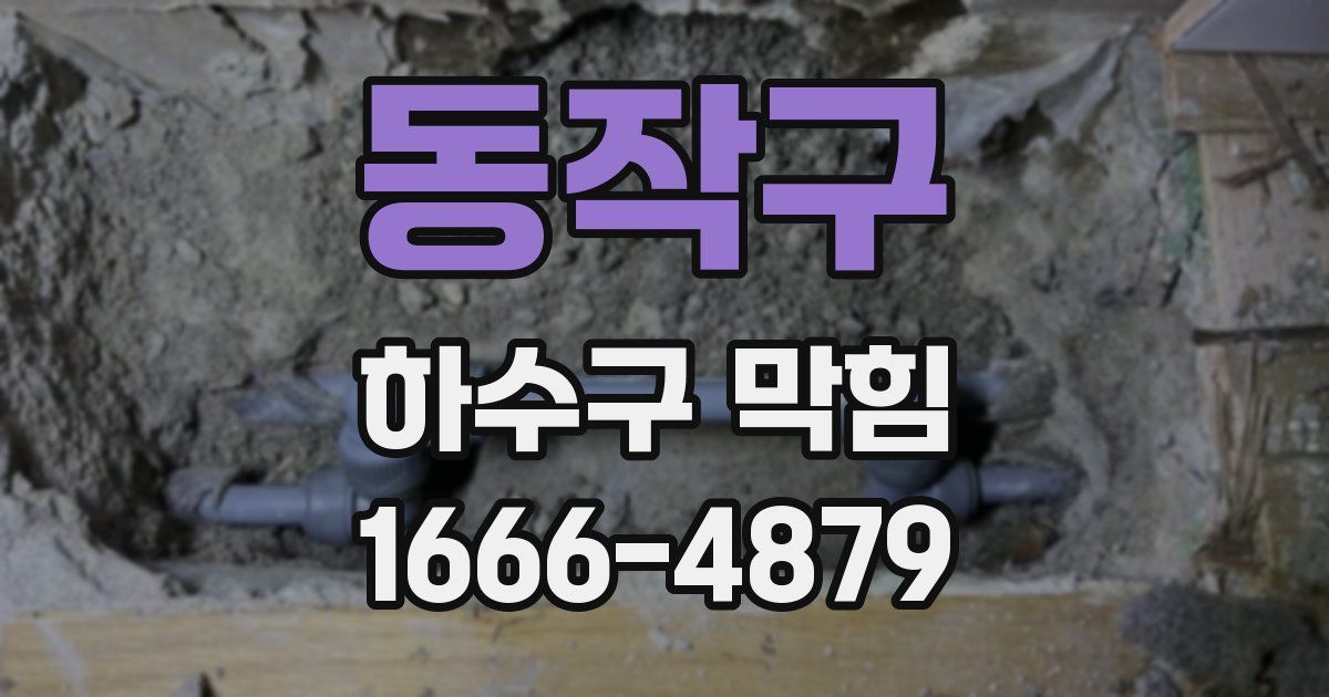 동작구 하수구 막힘