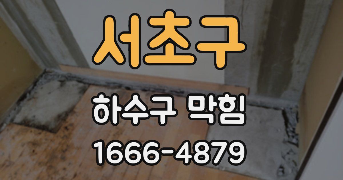 서초구 하수구 막힘