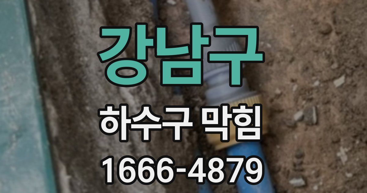 강남구 하수구 막힘