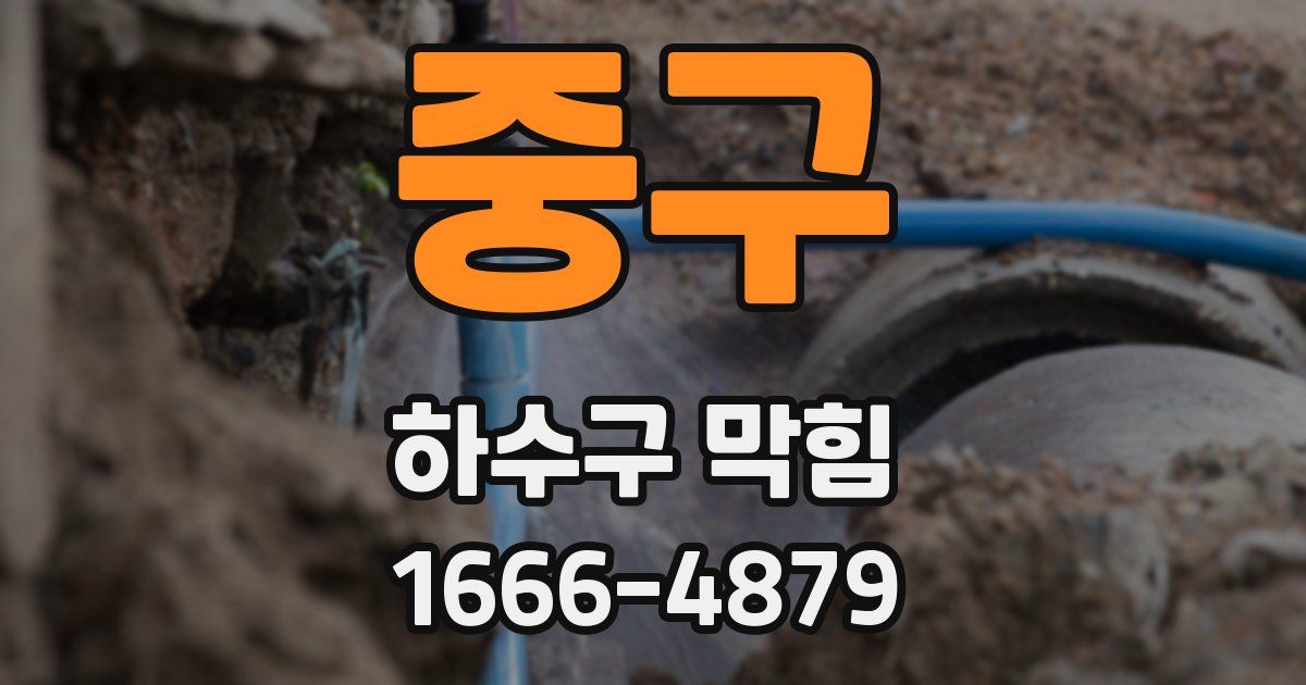 중구 하수구 막힘