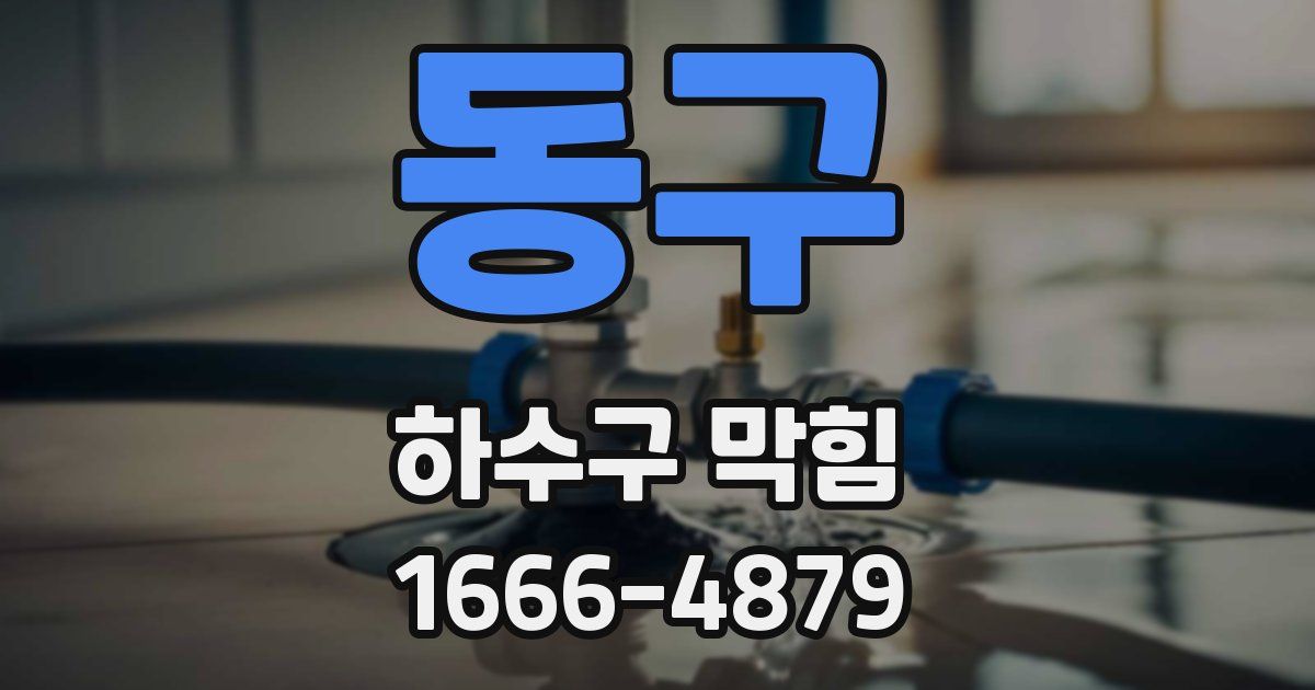 동구 하수구 막힘