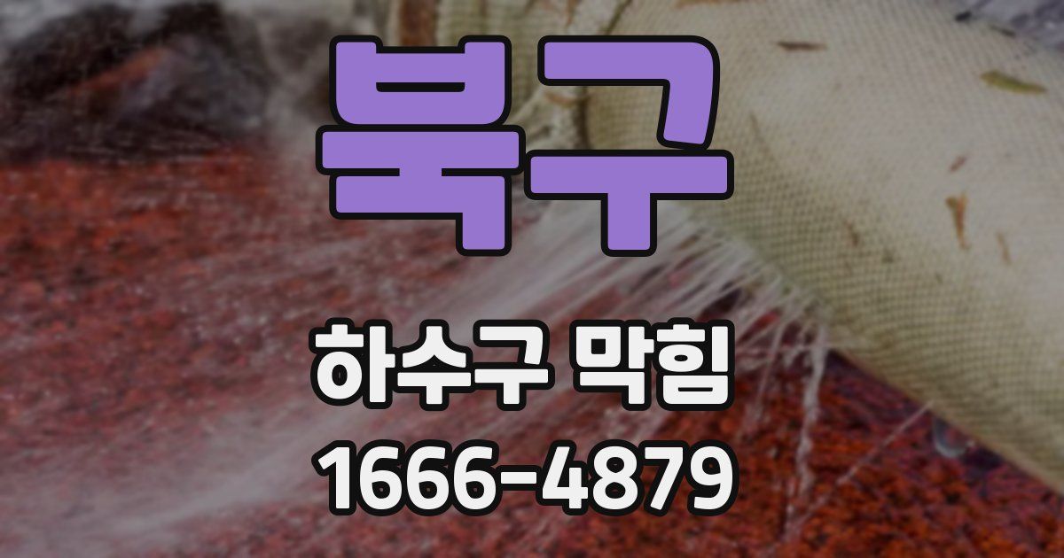 북구 하수구 막힘