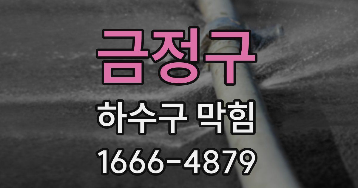 금정구 하수구 막힘
