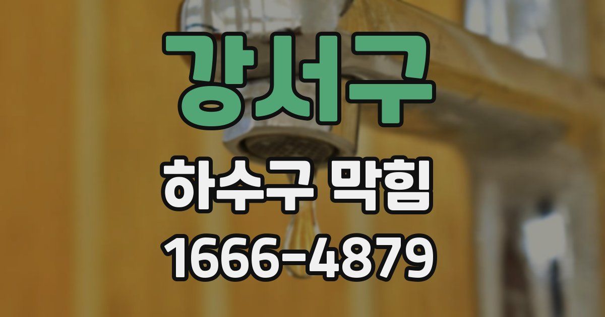 강서구 하수구 막힘