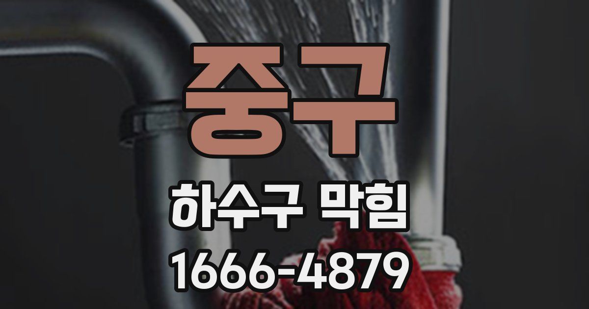 중구 하수구 막힘