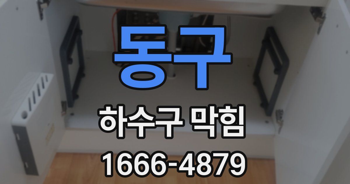 동구 하수구 막힘